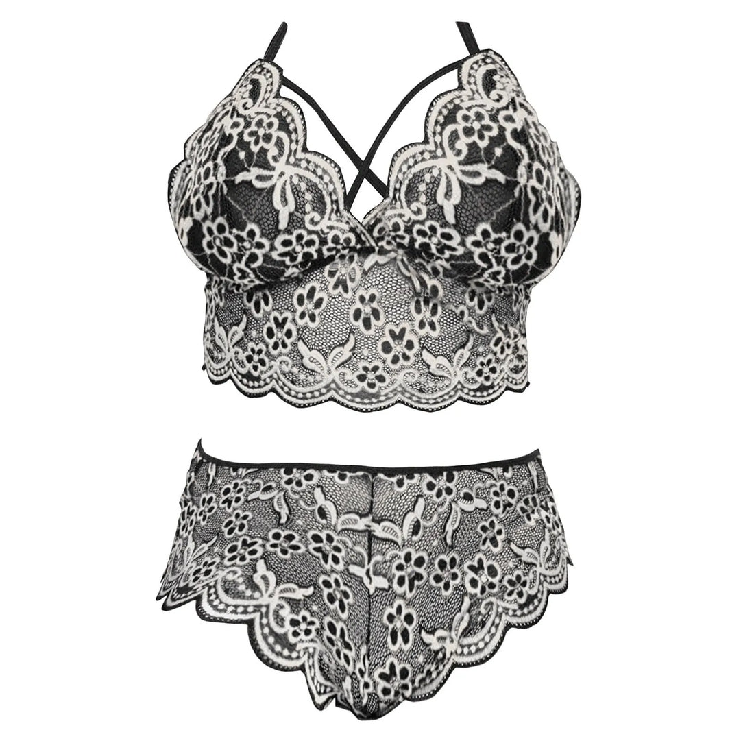 Lace Embroidered Plus Size Lingerie Set with Briefs